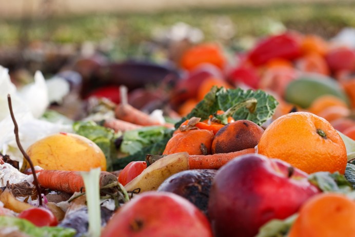 what happens to food that is wasted