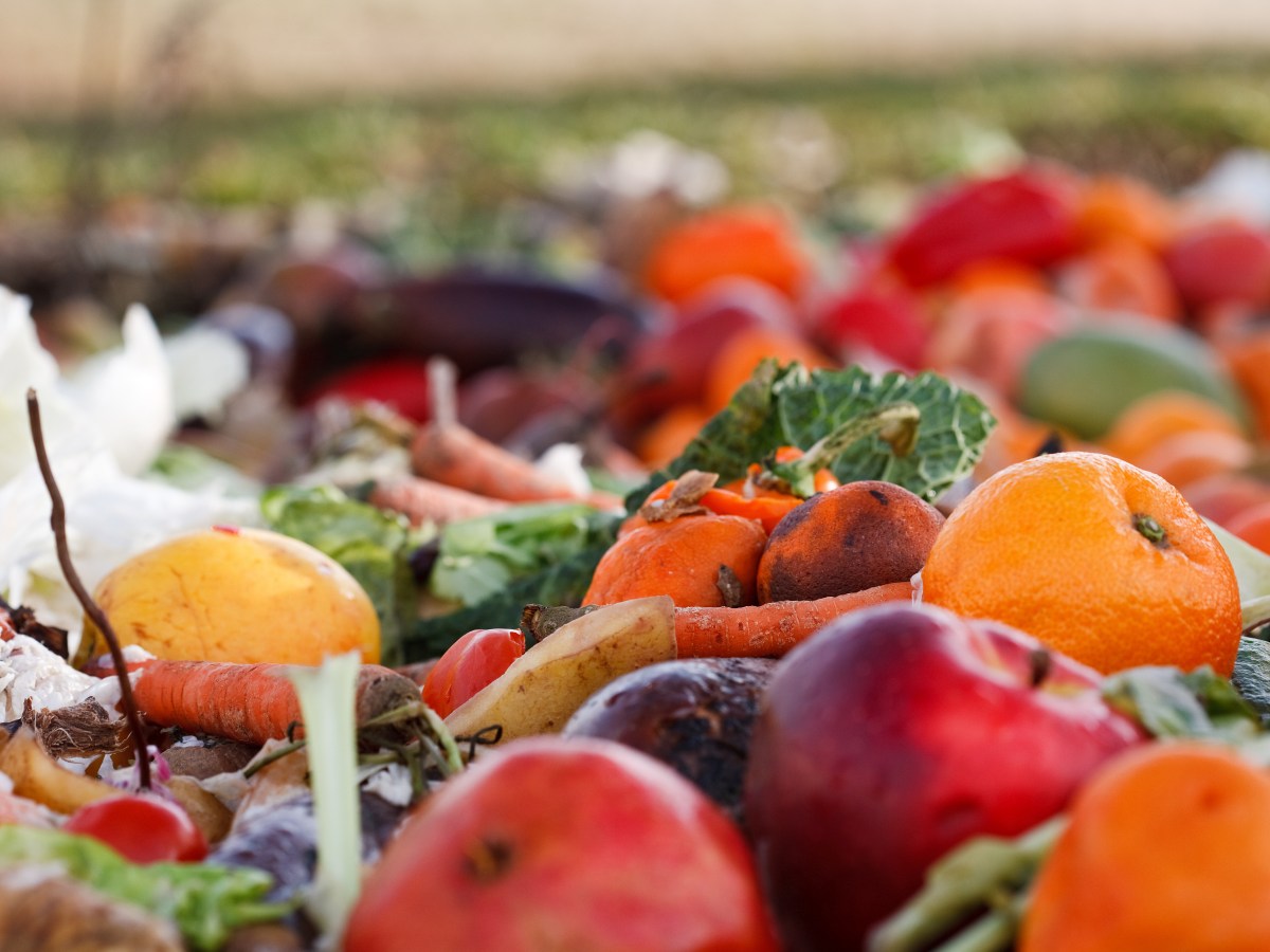 What Happens to Food that is&nbsp;Wasted?