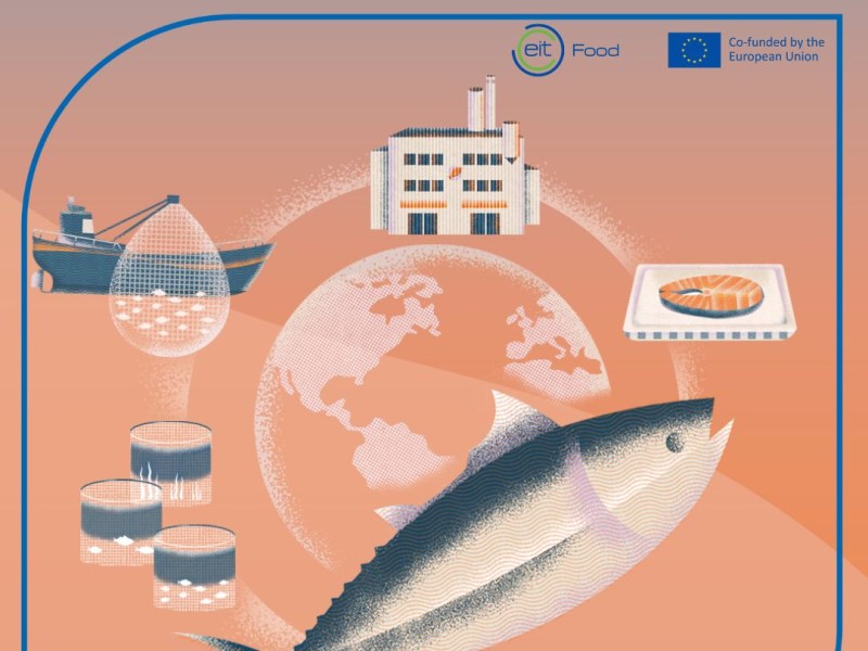 Sustainable Seafood: Barriers and Opportunities in the Fishing&nbsp;Industry
