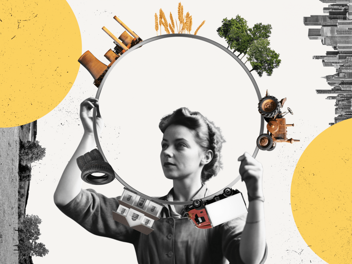 Food safety in the circular&nbsp;bioeconomy