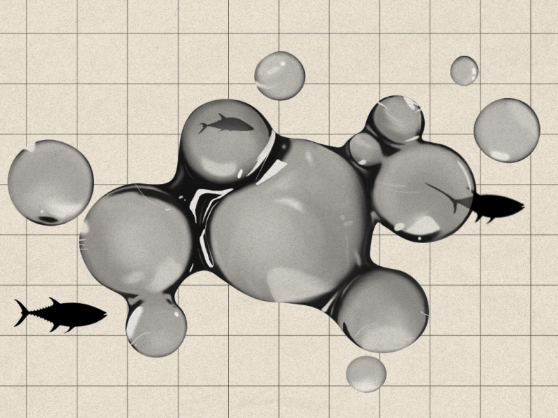 Mercury in Seafood | Should We Really Be&nbsp;Concerned?