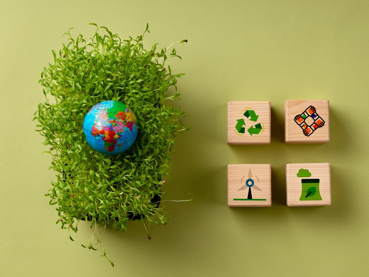 Holding retail corporations accountable for food&nbsp;waste