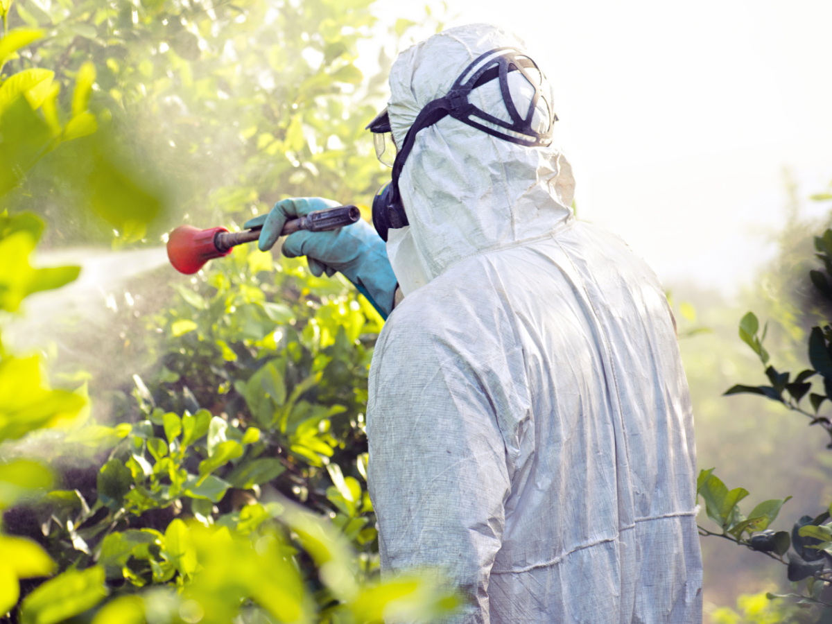 Are pesticides harmful to humans and the&nbsp;environment?