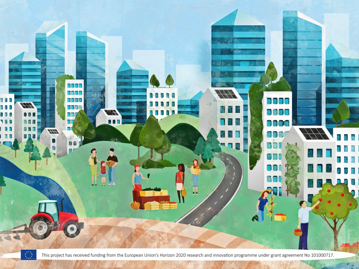 Small wins in&nbsp;practice