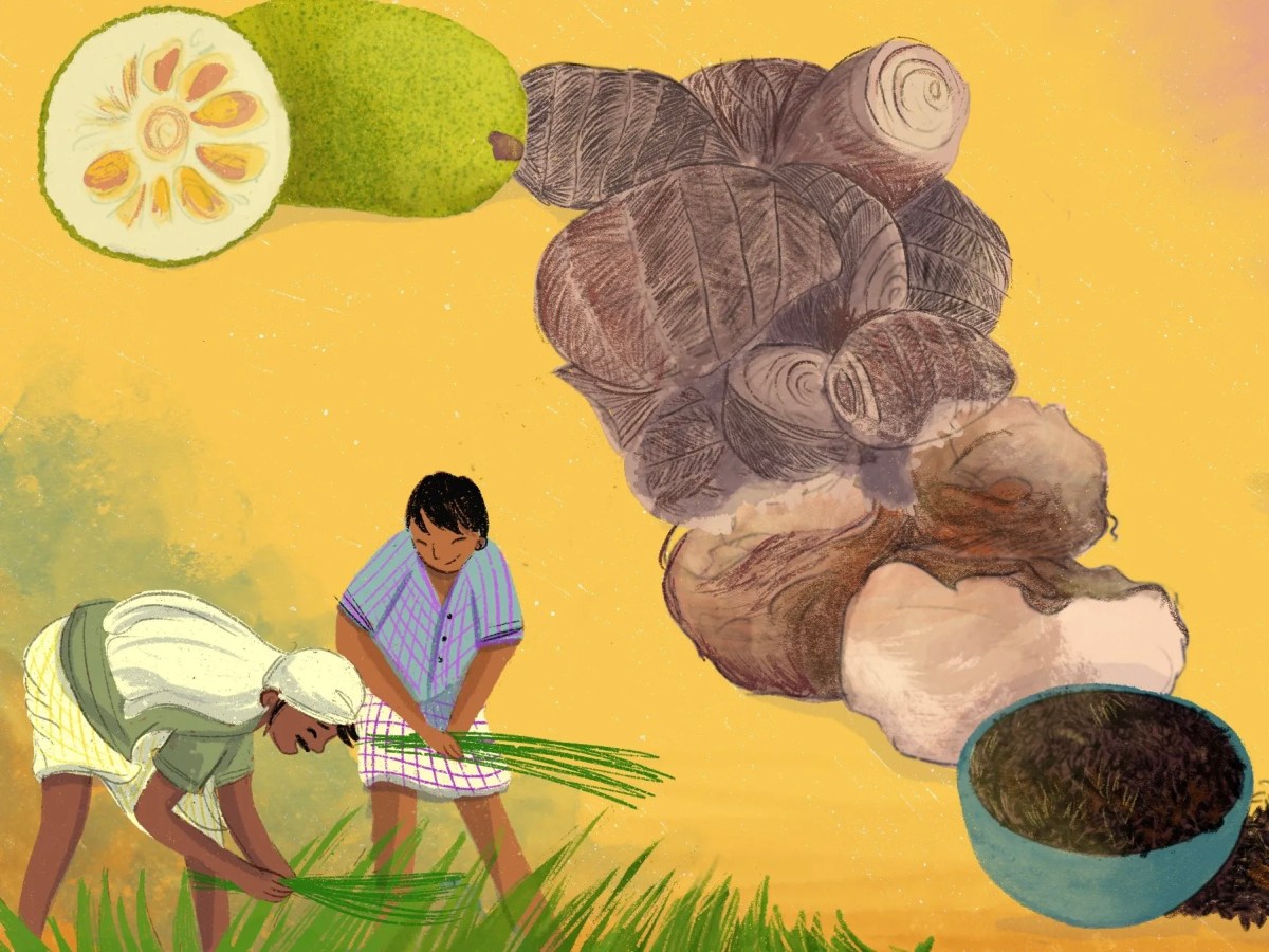 Can India’s traditional knowledge future-proof its food&nbsp;system?