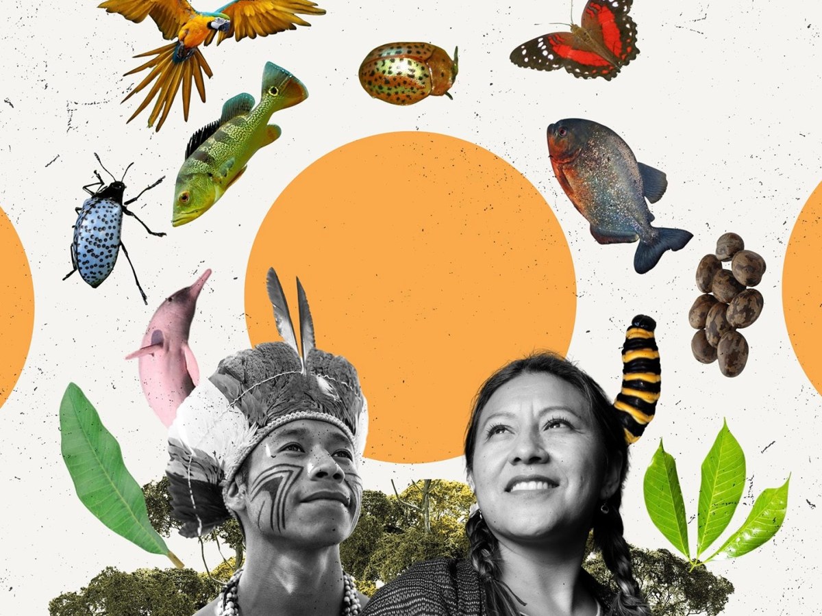 Traditional knowledge at the centre of a circular&nbsp;bioeconomy