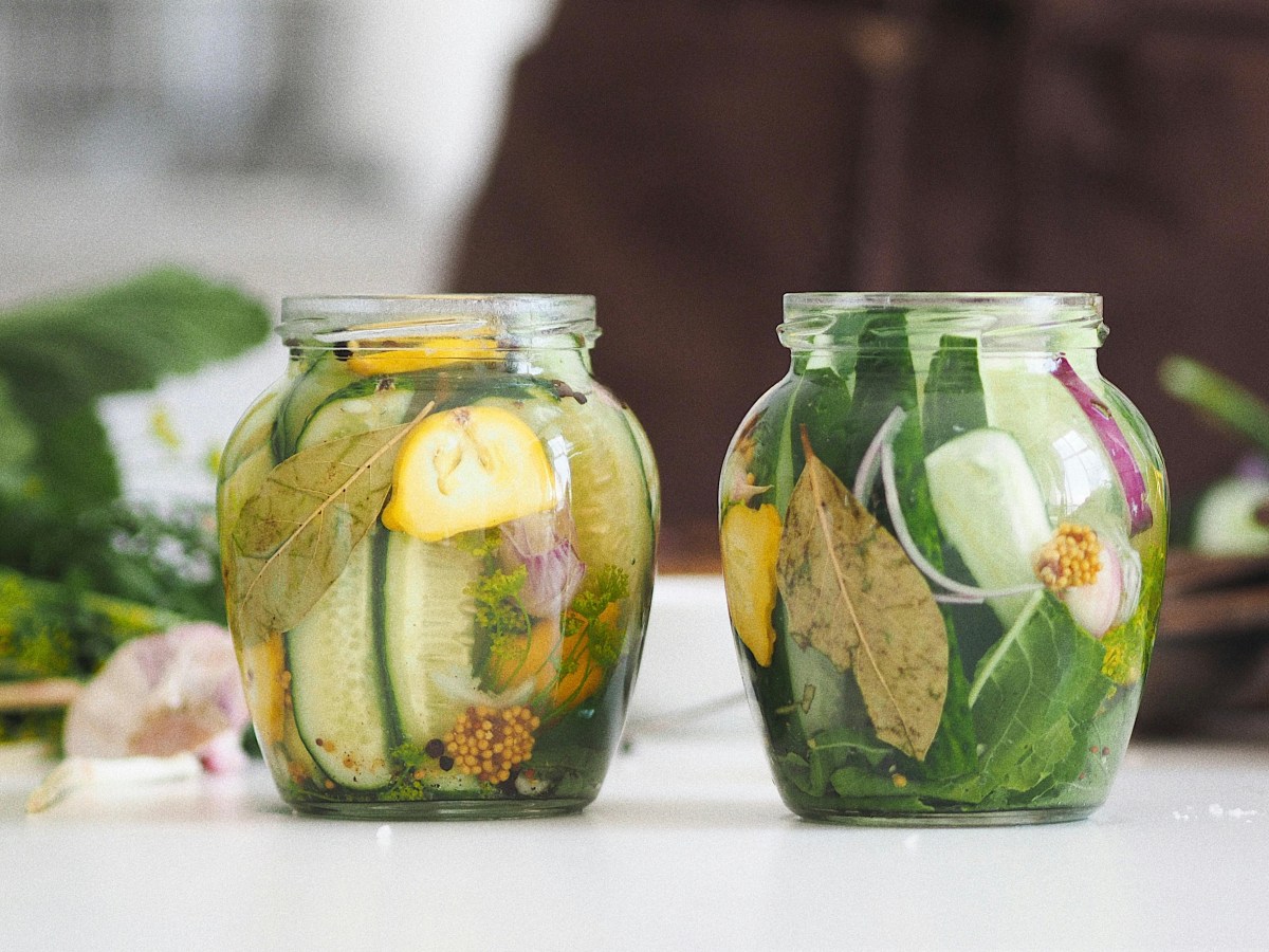 Artisanal fermentation as a regulatory grey area in EU food&nbsp;law